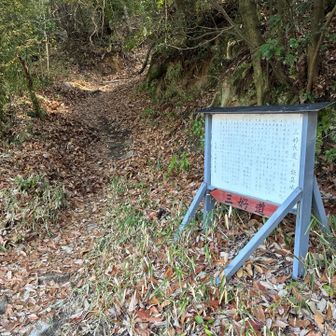 ここから登ります🥾