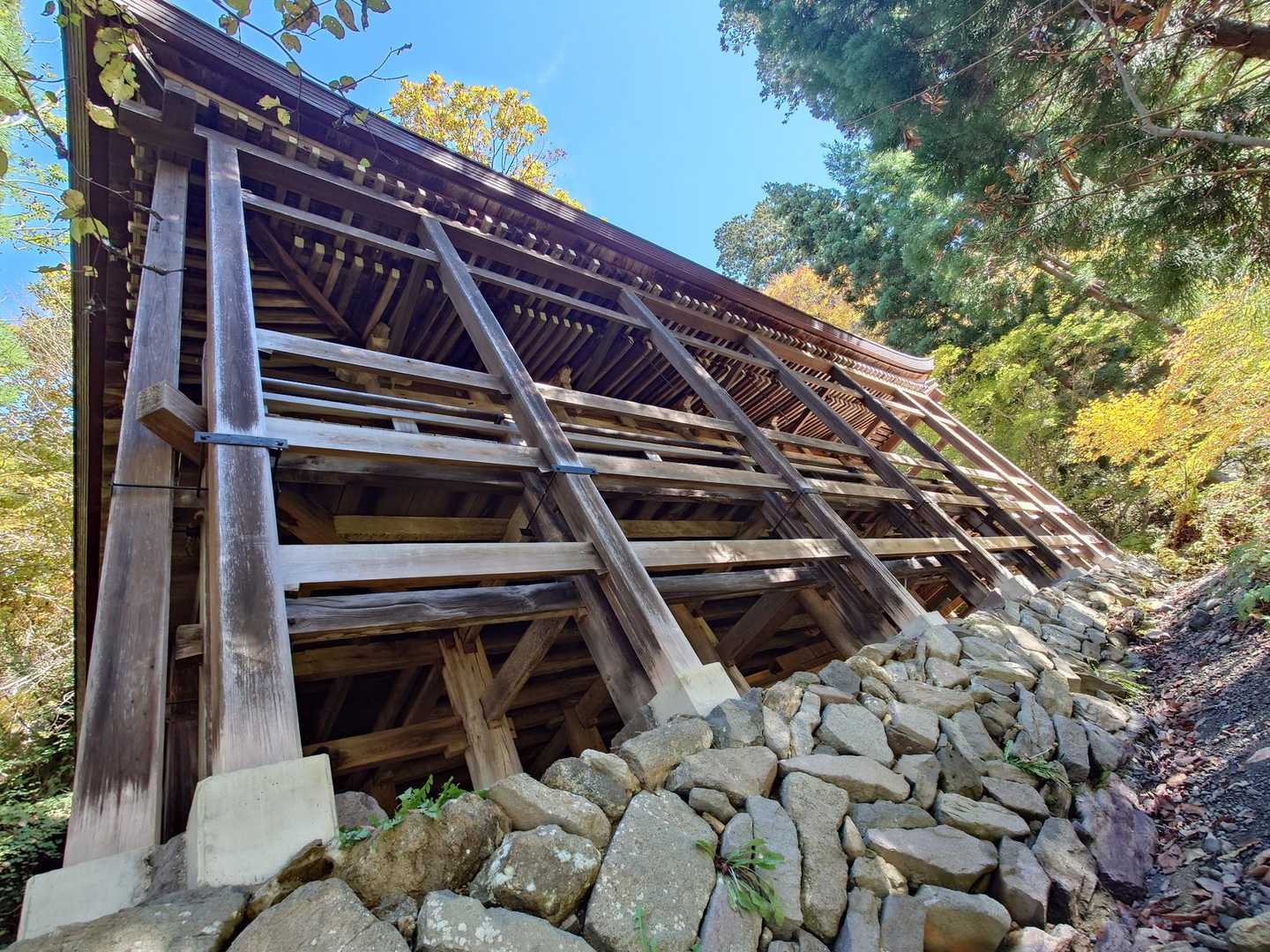 小菅神社-小菅山 周回コースの写真