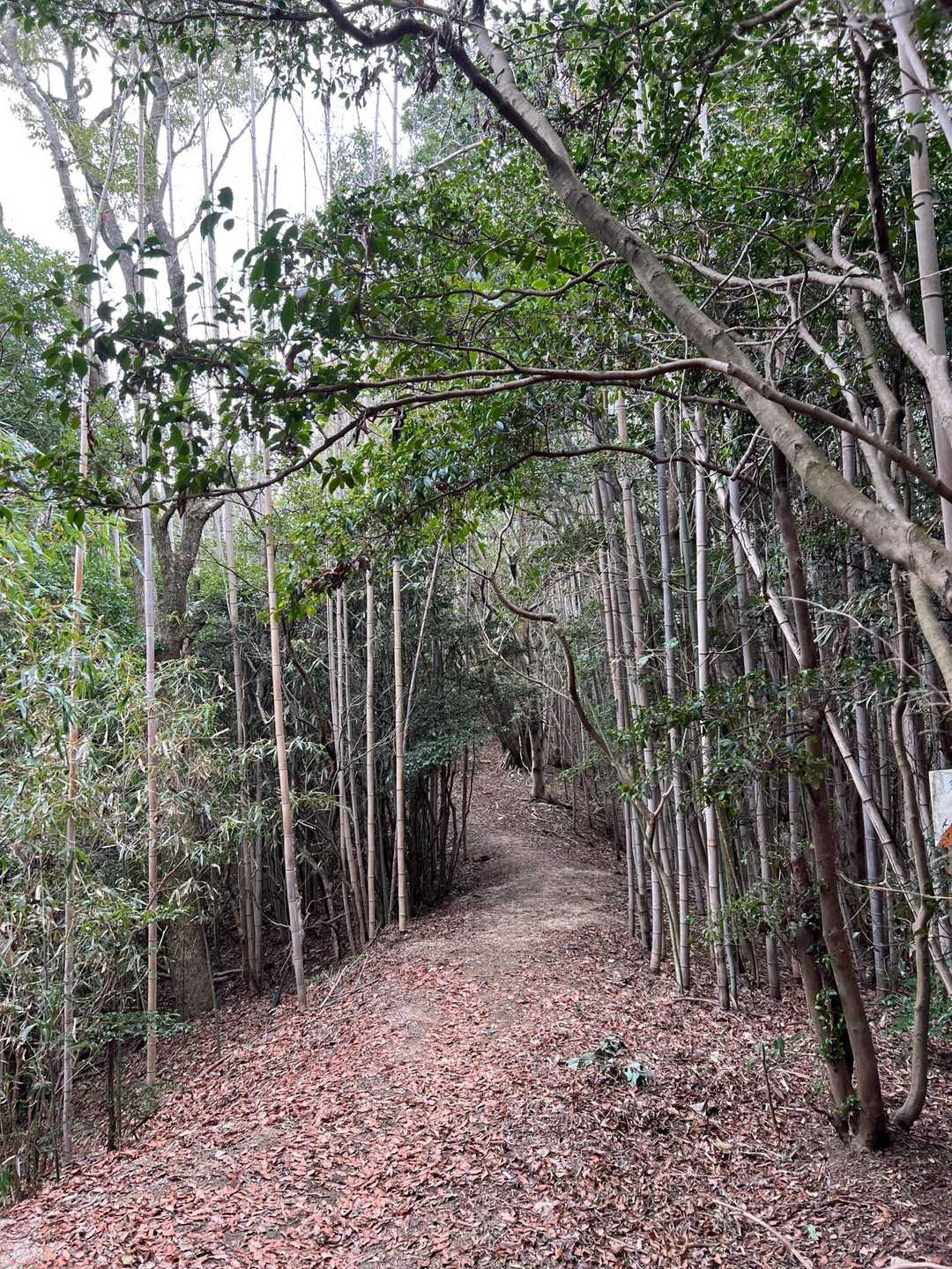 安芸小富士-似島峠-下高山 縦走コースの写真