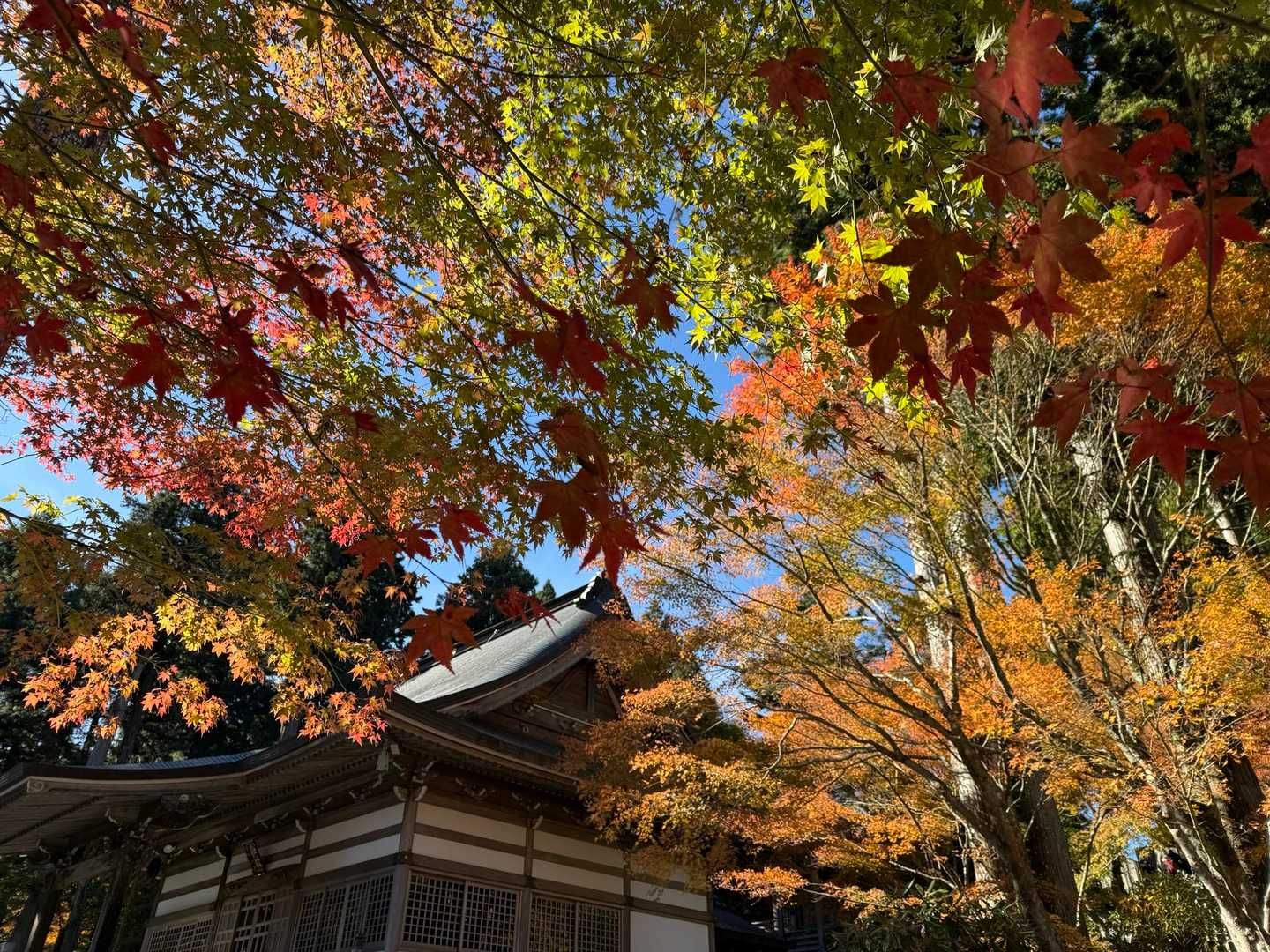 山嶺駅-雲辺寺山 周回コースの写真