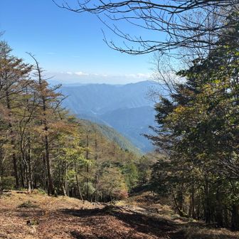 駆け降ります！下山が確実にうまくなりました