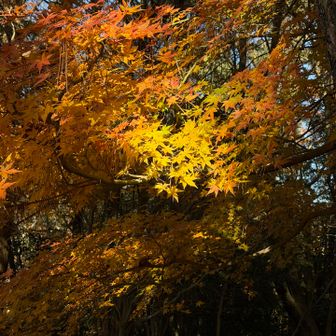 
　さあ、行かなきゃね、
　