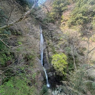 ながーい階段を登った先からも観賞