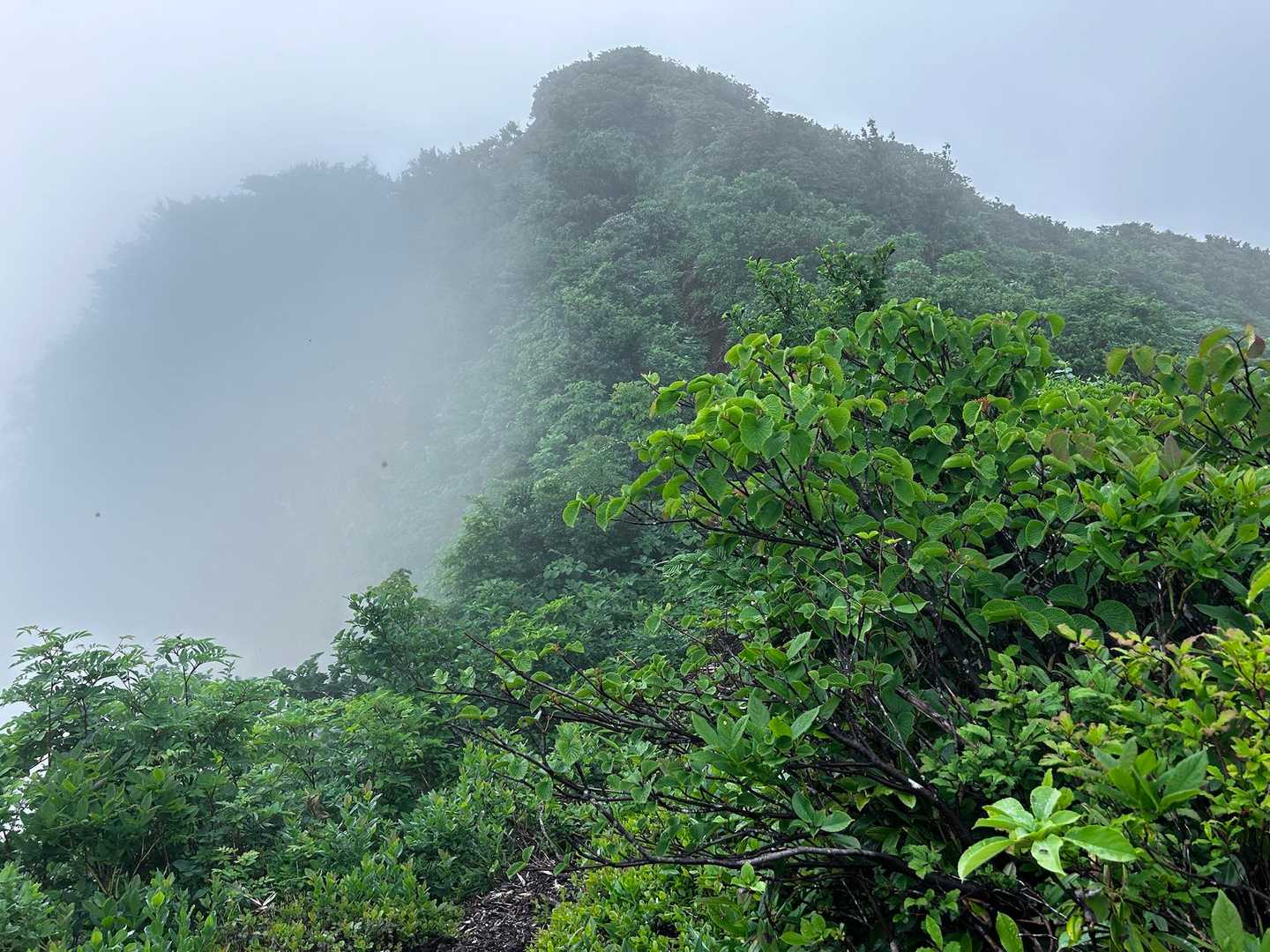 六十里登山口-浅草岳 往復コースの写真