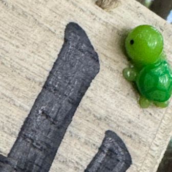 日記で見せて頂いてる🐢のプレートありました。