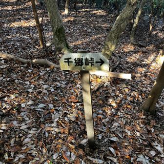 千郷峠
千代（センダイ）から本郷を意味するのだろう
浅間山への分岐でもある