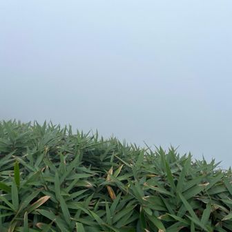 下蒜山方向…