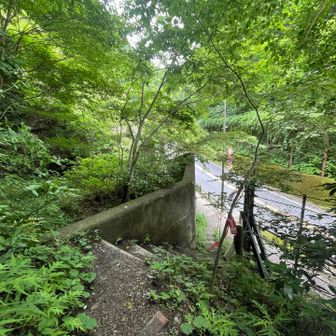大垂峠まで降りてきました。
ロードを少し歩いて、橋を渡って南高尾へ。