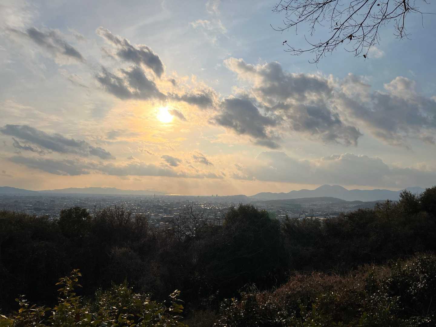 小山山緑地遊歩道入口-小山山 往復コースの写真