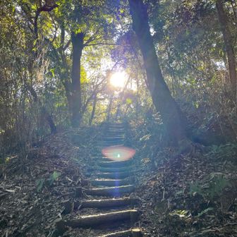 初日の出🌅⁉️