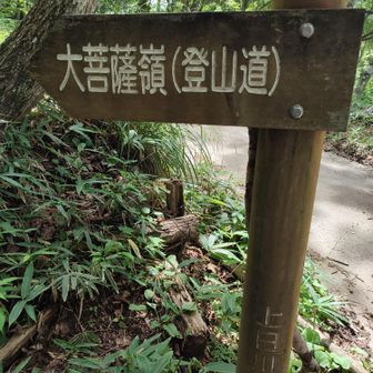 そしてゴール地点で…
