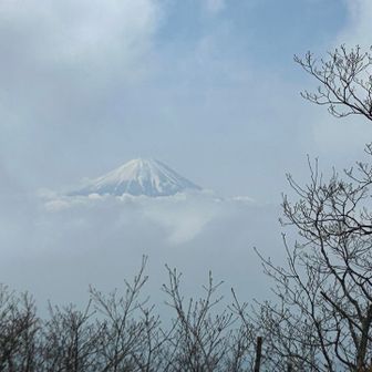 富士山見れて良かったです。