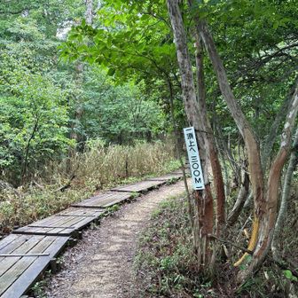 木道♡
あと300ｍ