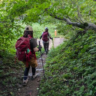 坂田峠登山口到着。
隊長、副隊長に続き私はしんがりを務めた。
