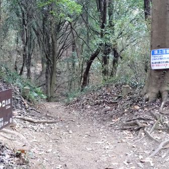 分岐になります。ここは真っすぐ！