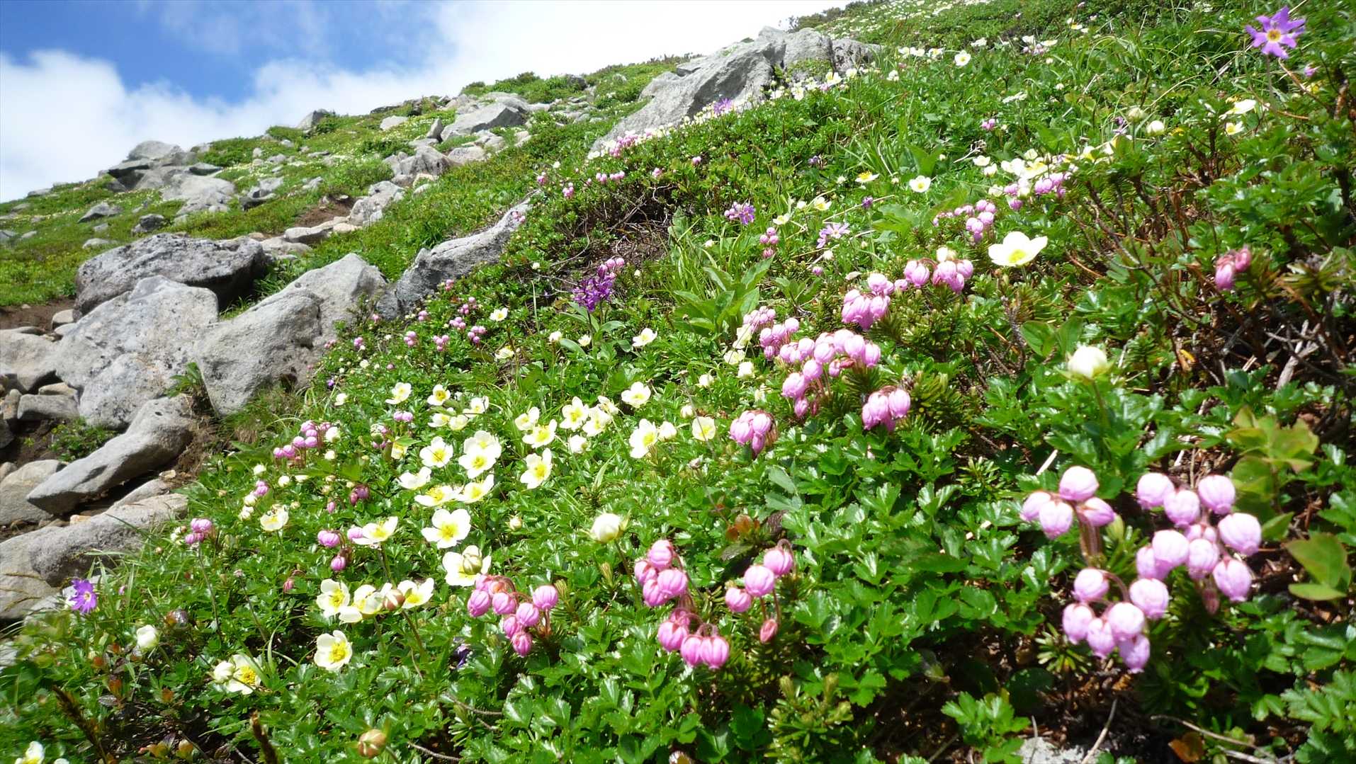 富良野岳-三峰山-上ホロカメットク山 周回コースの写真