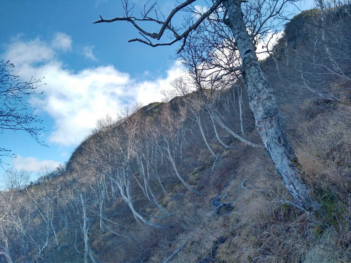 アレが山頂かい？中々の斜度です😆