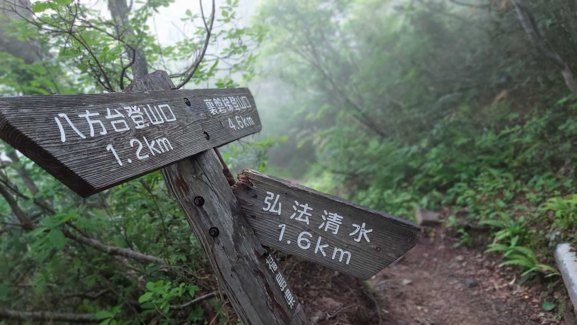 分岐
ここから左に行き時計回りで周回です