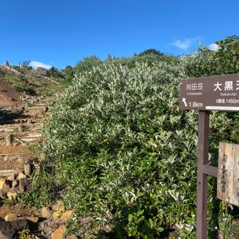 刈田岳を目指す
暑い