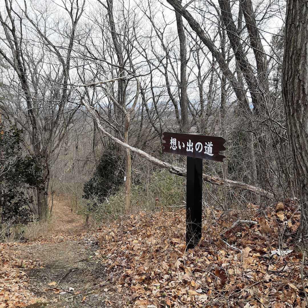 確かにお花の思い出あっつょい😆