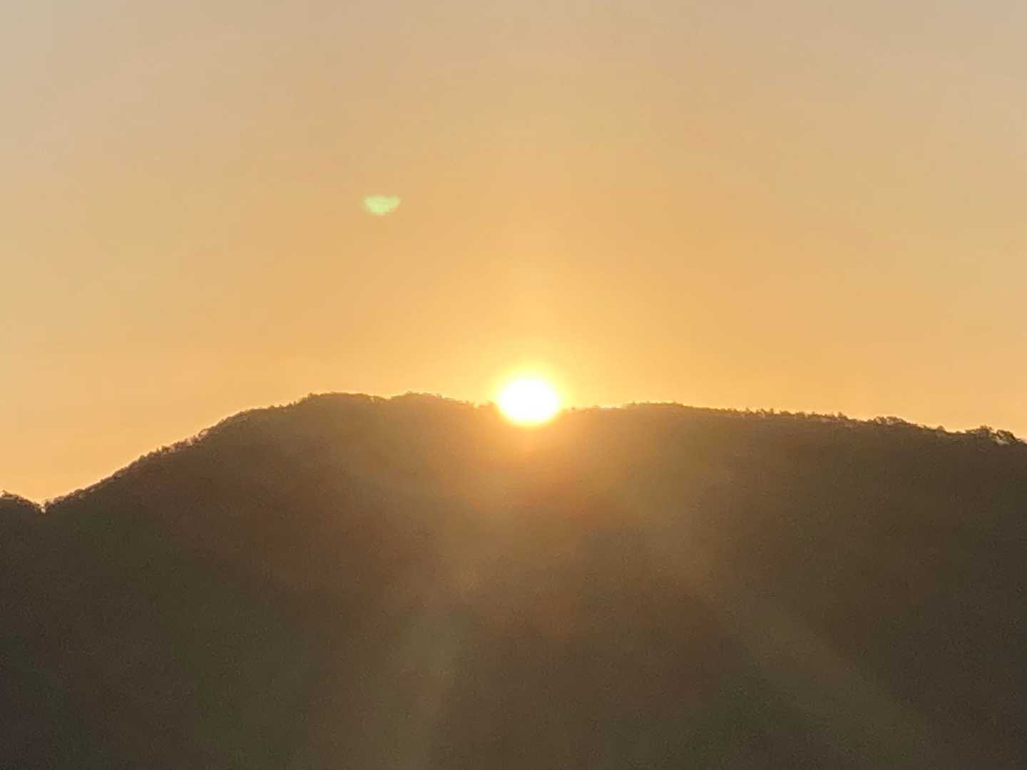 新年おめでとうございます㊗️