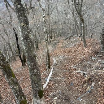 ここからの下山を間違えました