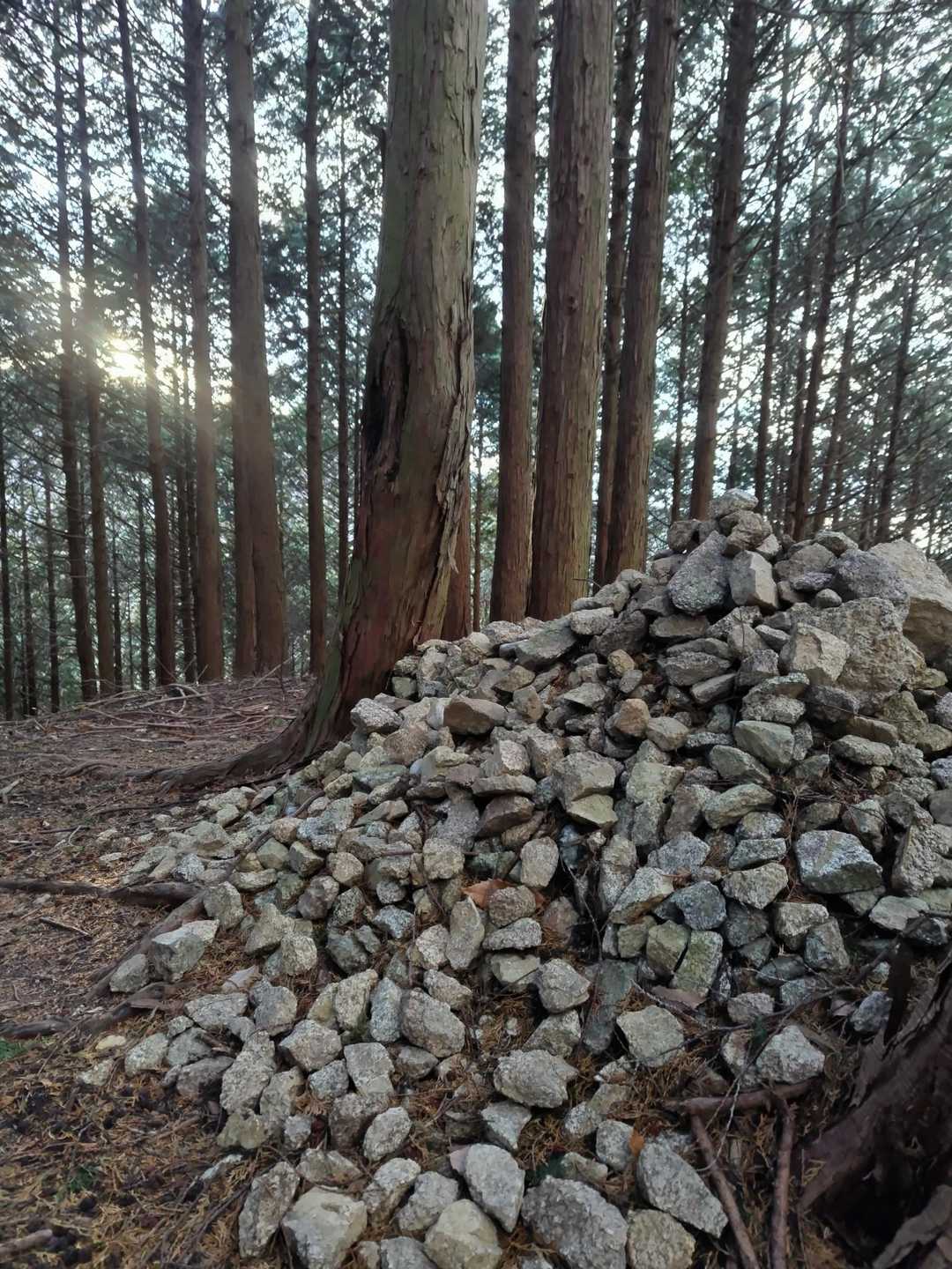 ケルン山盛り