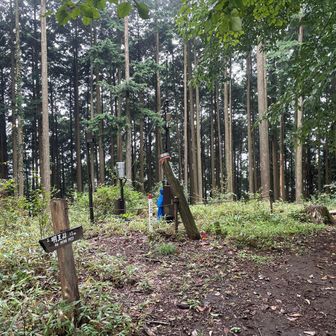 吉野矢ノ音の山頂には相変わらずのアンテナがあり。