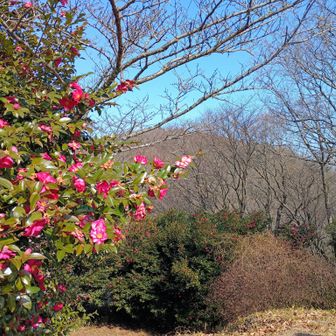 雌岳より雄岳を望む