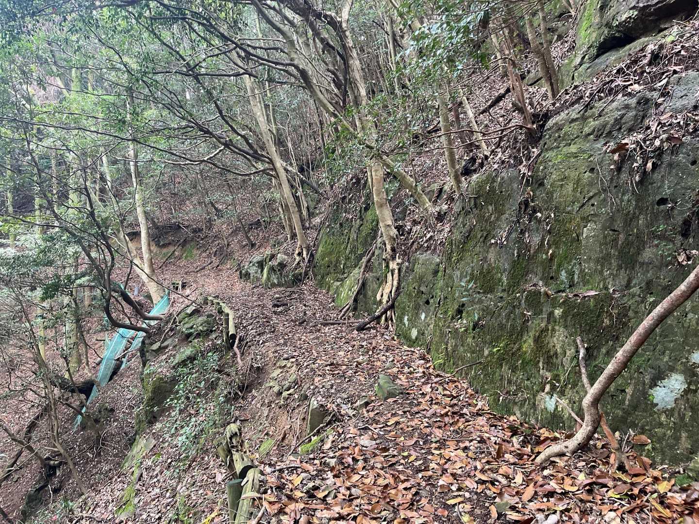…ずっと山腹ルートなので…長いな。