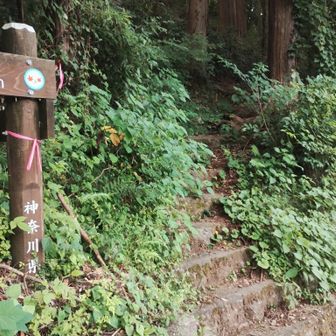さて、行くとするか。