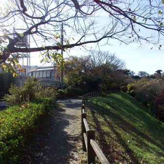 先に進みます。