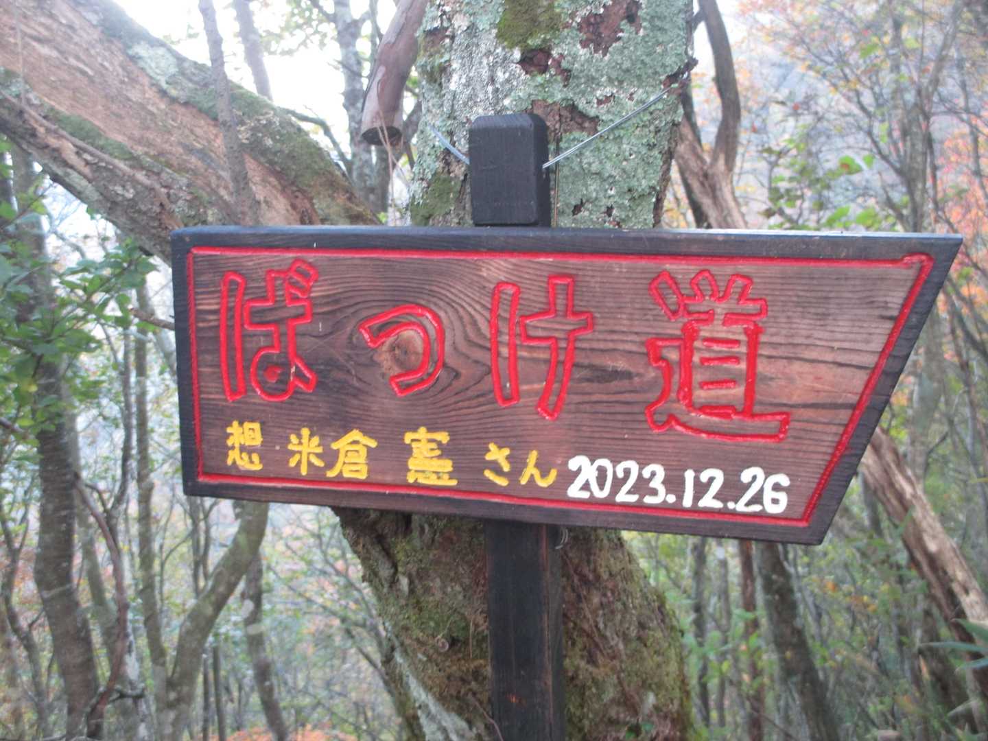関山トンネル-寒風山-白髪山 往復コースの写真