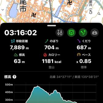 まーまー歩いた