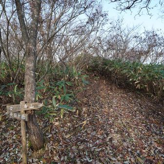 免賀手山方面へ