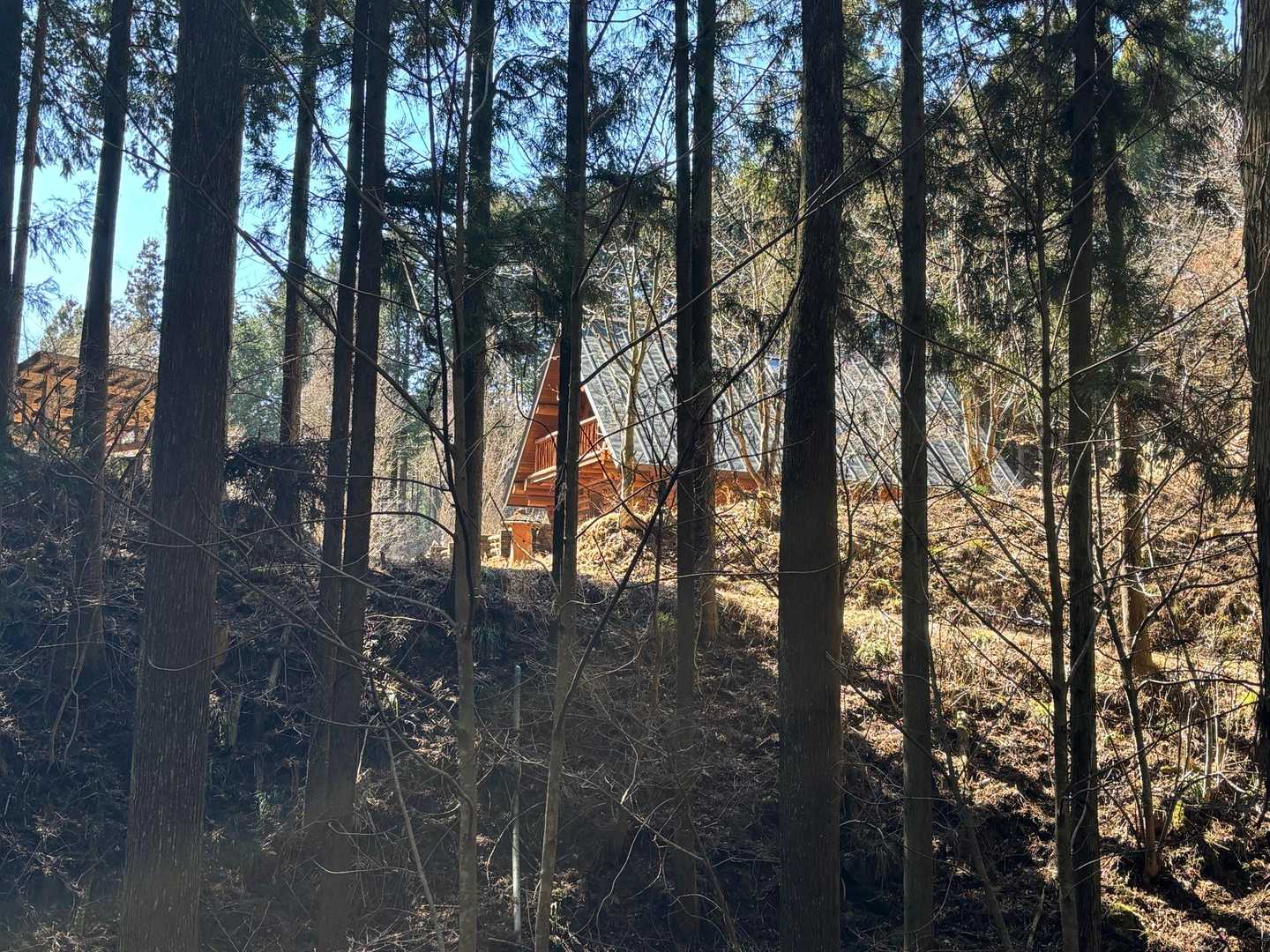 鶏鳴山 周回コースの写真