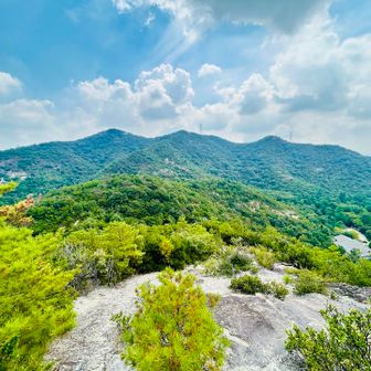 少し風吹いてきた
歩いてきた山が見える