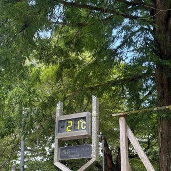 山頂付近に💨