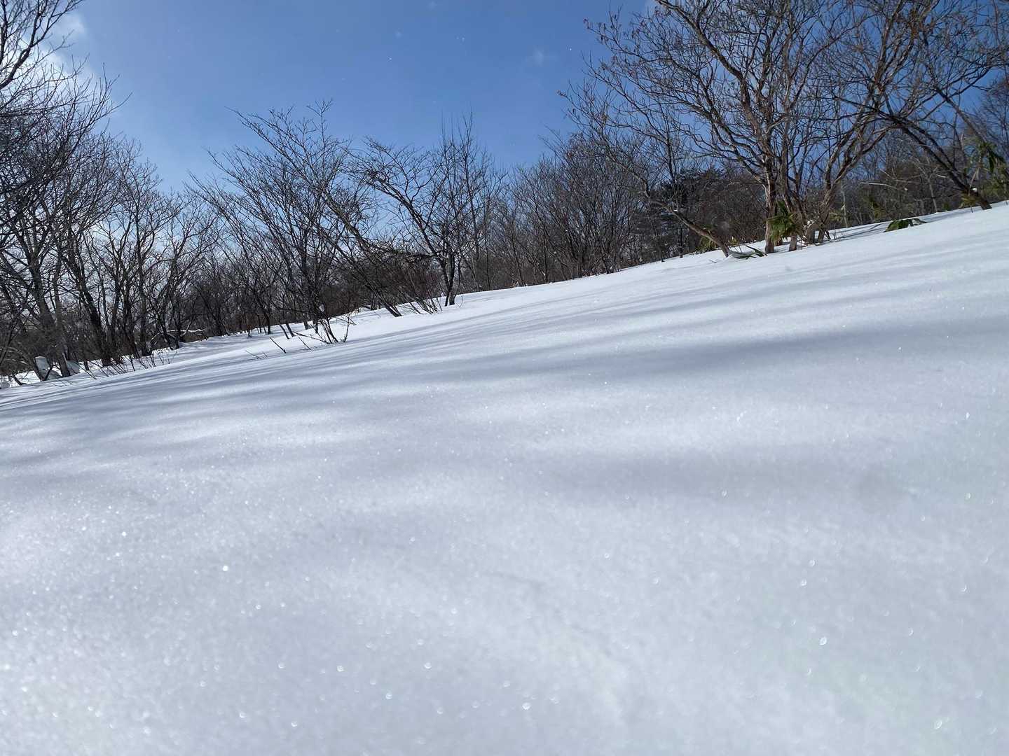 キラキラ❄️