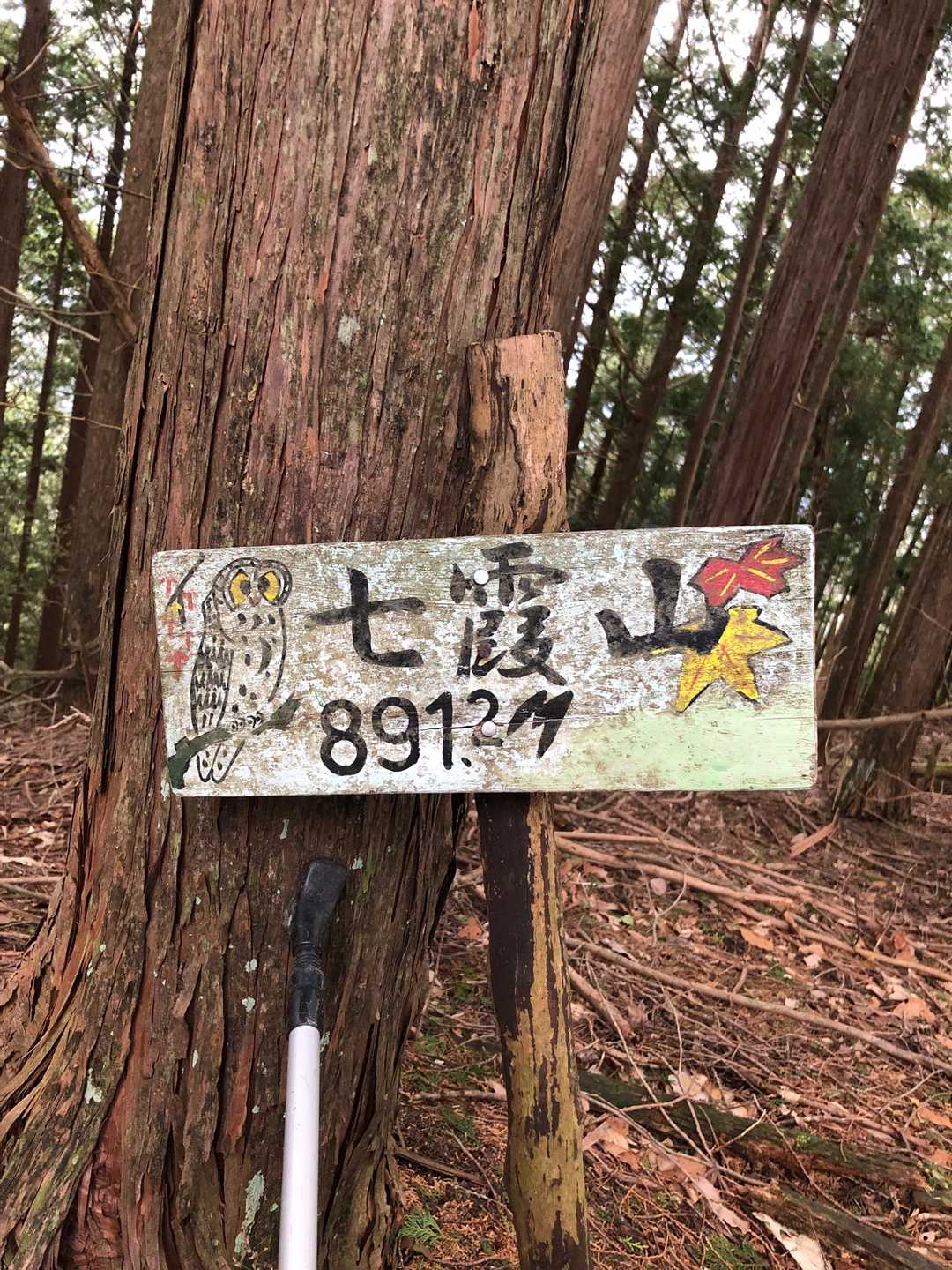 はい、パチリ