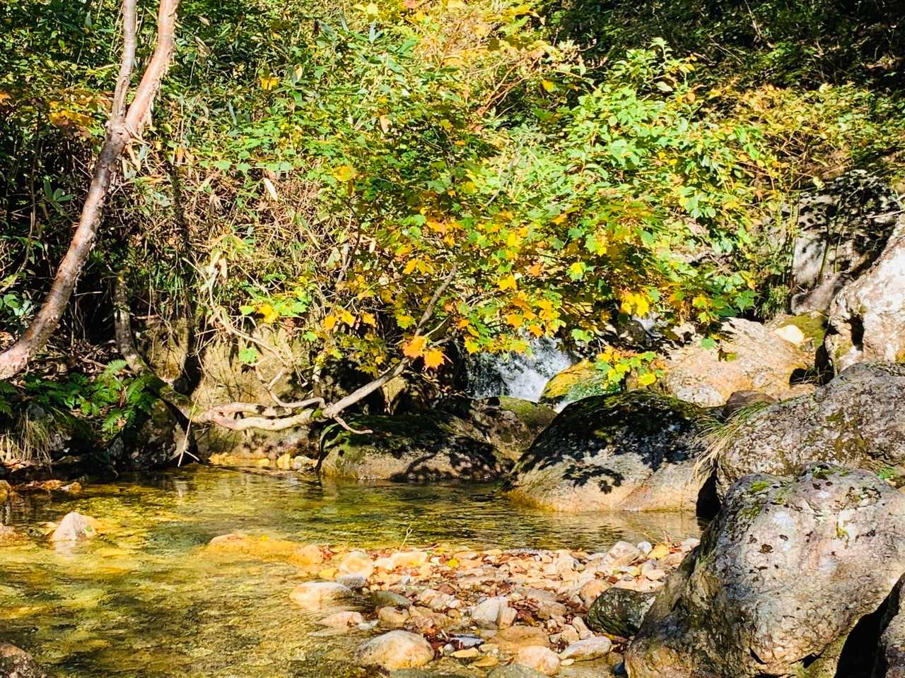 雰囲気が良いので( ´ー｀)y-~~
時間に余裕があるのでのんびり行きます。一応けが人なので。