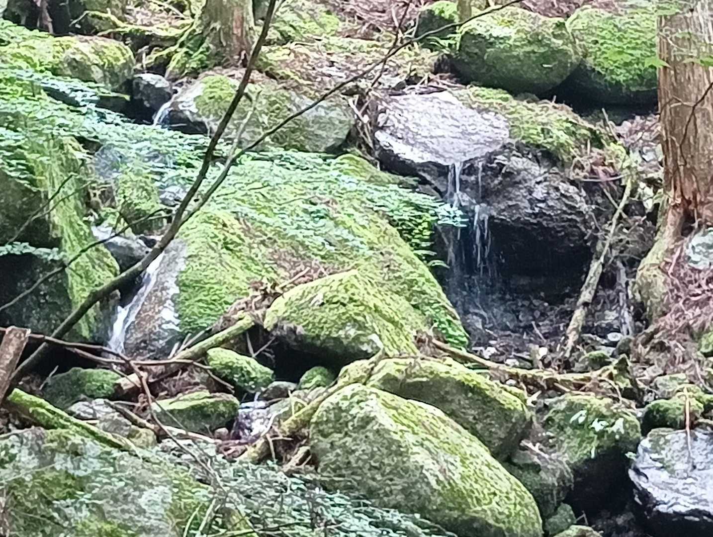 岩伏長命の滝🤔