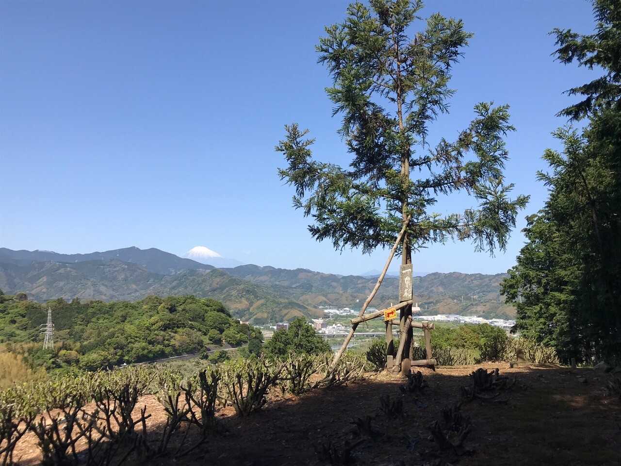 茶臼山の写真
