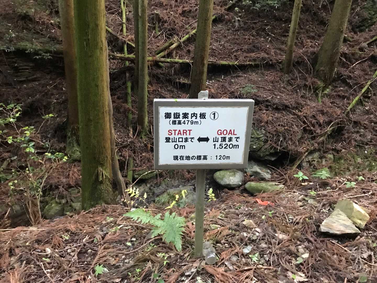 ここも案内板が整備されていた