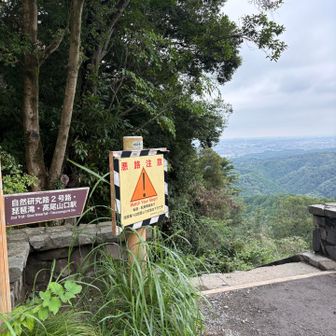 ほんとは2号路から6号路で下山予定でしたが、予定変更