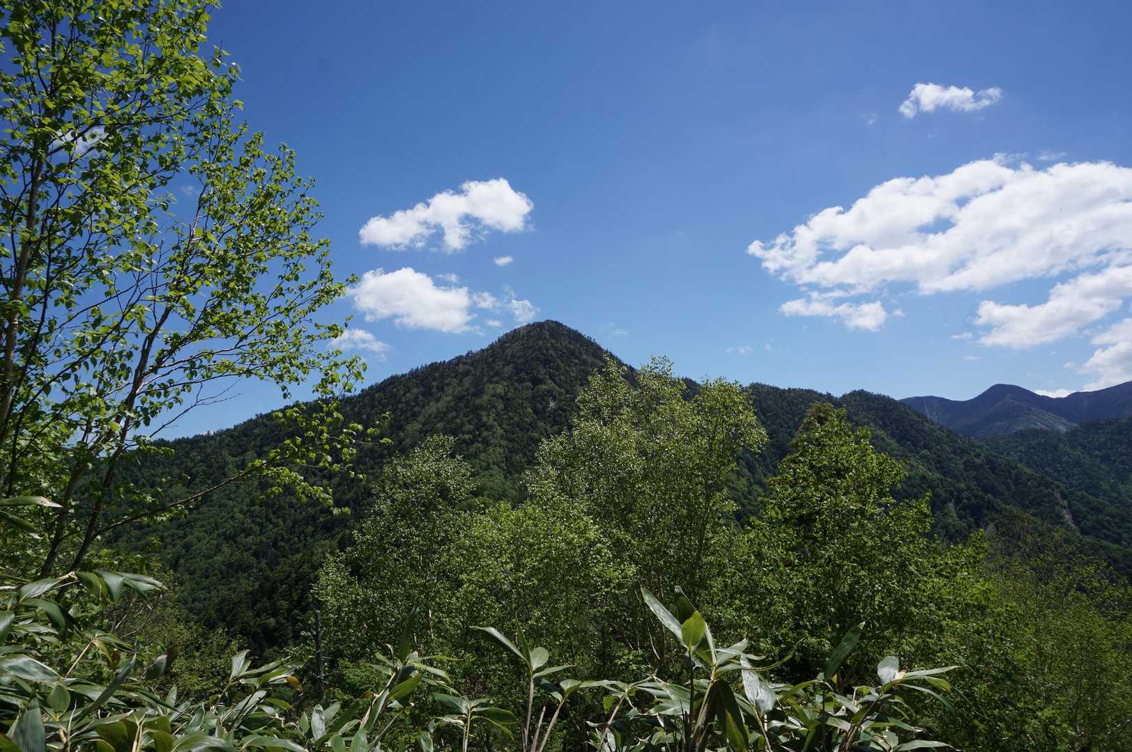 激登りだった分、降りるのは一気に降りてきた！
たった今登ってた山を眺める