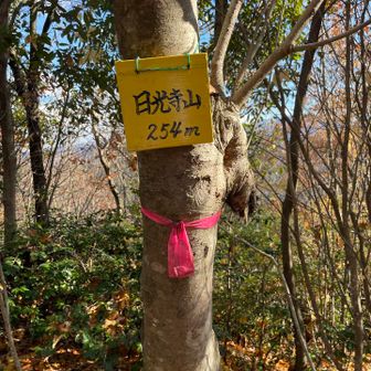 「日光寺山」