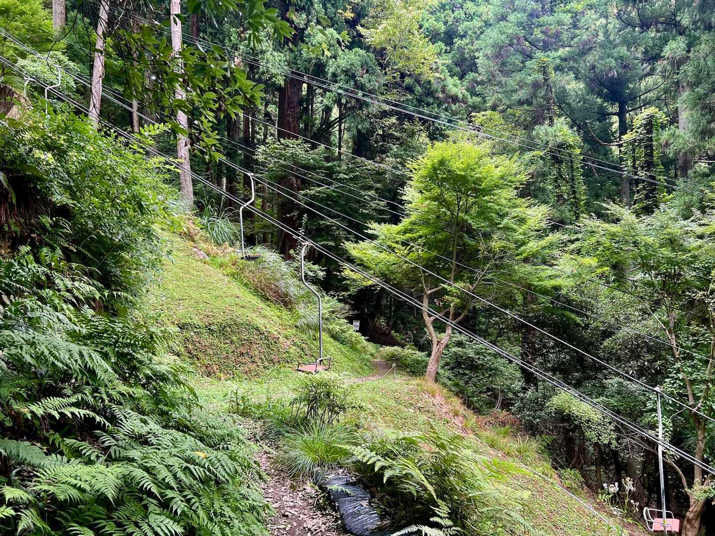 賤ヶ岳 往復コースの写真