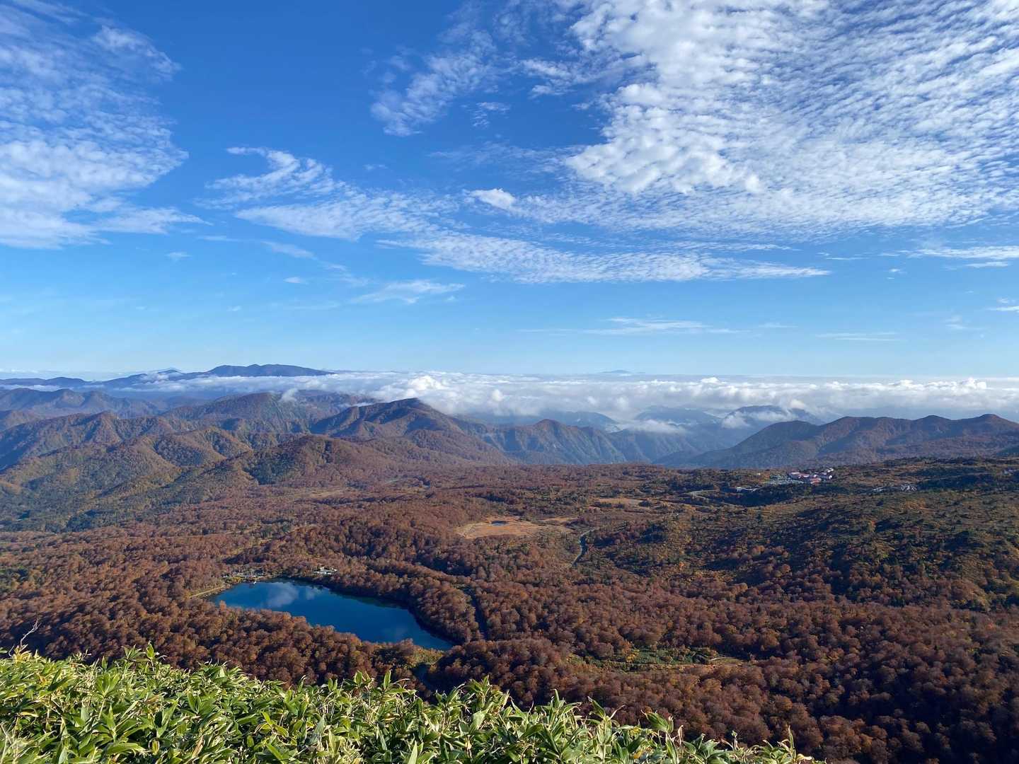 秣岳登山口-秣岳 往復コースの写真