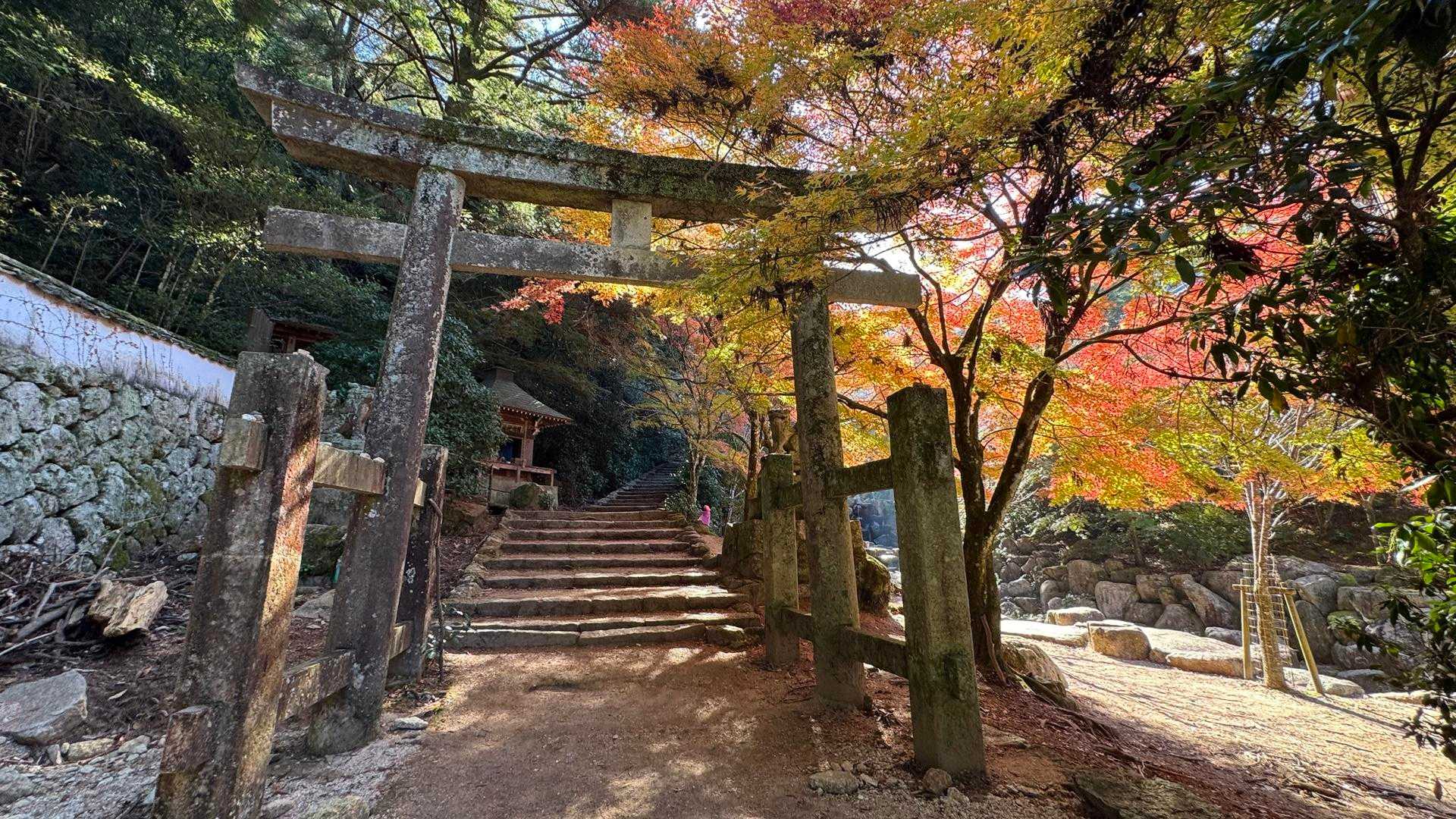 弥山登山道入口-紅葉谷橋-弥山 周回コースの写真